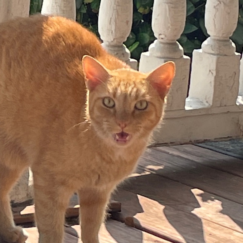 Random vsco girl stuff mystery box